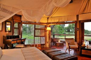 Travel Tuesday Bush Holiday Specials