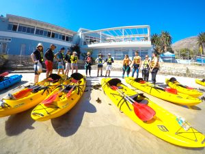 Marine safari Tintswalo Boulders