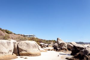 Marine safari Tintswalo Boulders