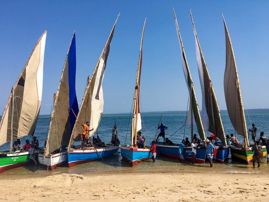 Dhow racing