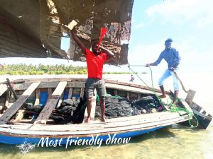 DHOW RACING